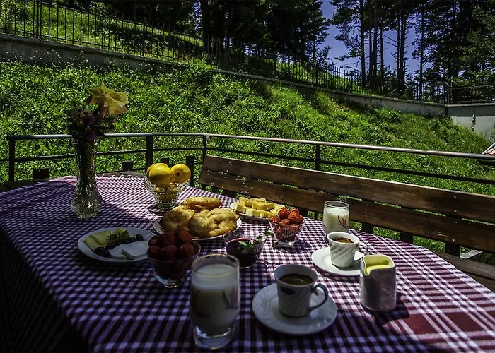 ,,родопски уют 